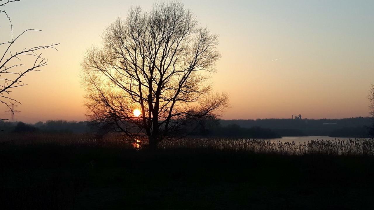 Moin, Moin & Ahoi! Apartment คีล ภายนอก รูปภาพ